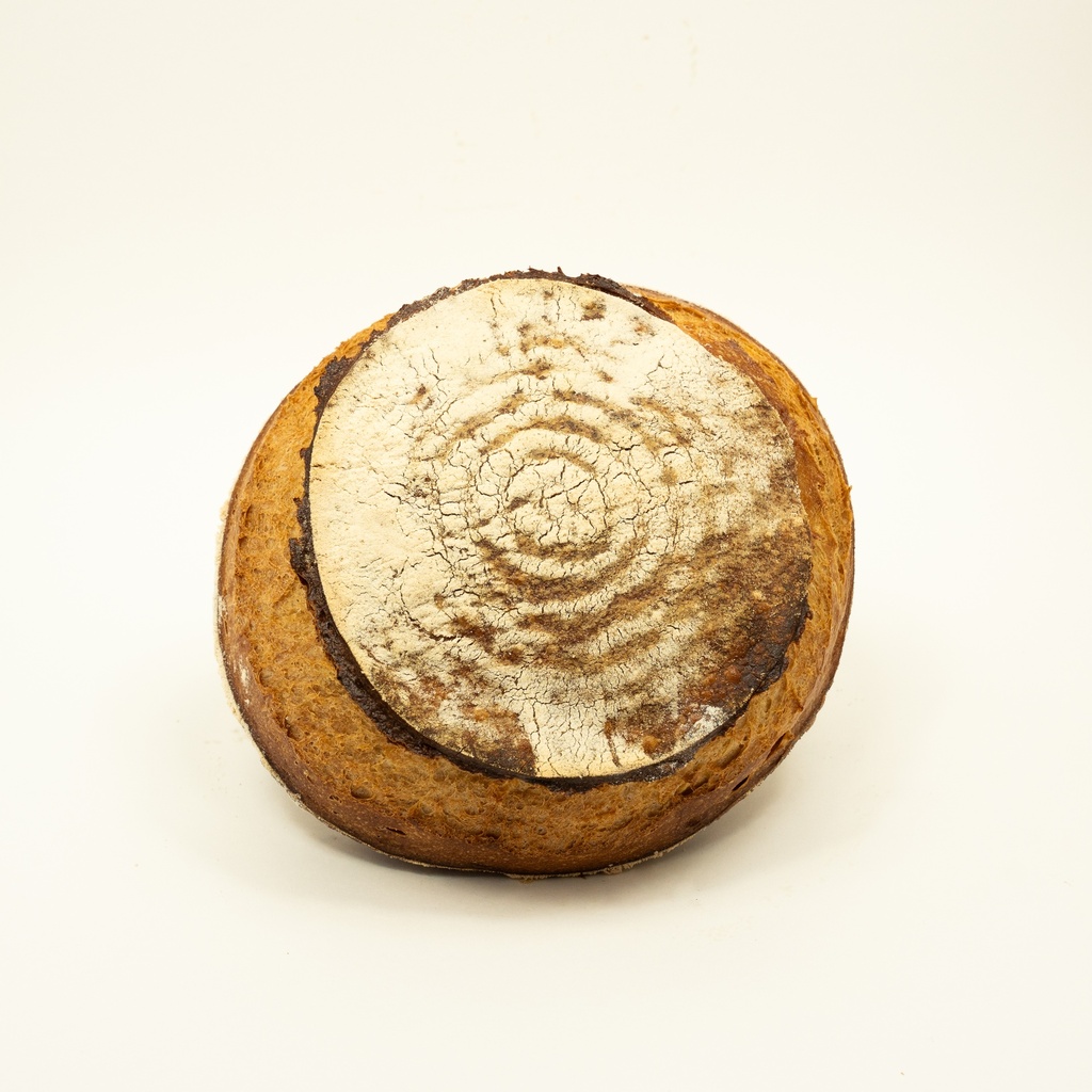 [Sachet] Grand Epeautre Blanc