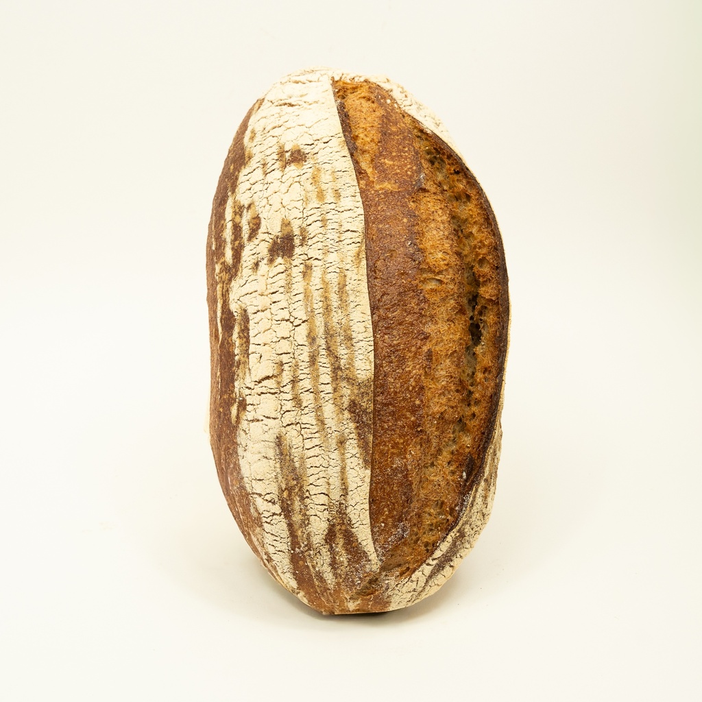 [Sachet] Grand Epeautre Gris