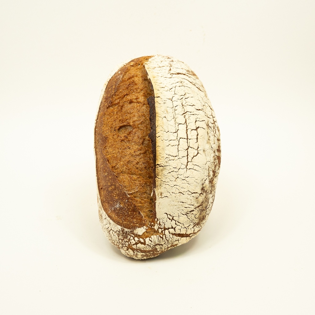 [Sachet] Petit Epeautre Gris