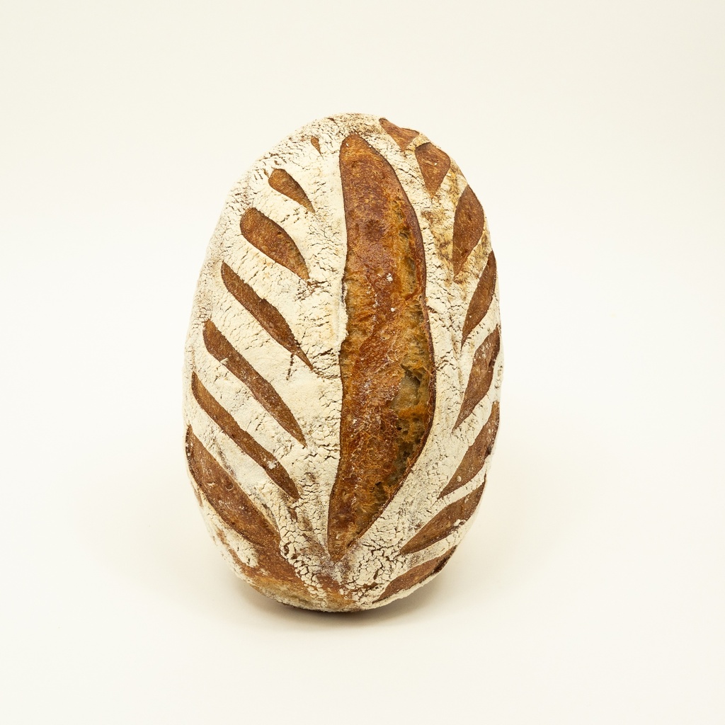 [Sachet] Petit Pain CAMA