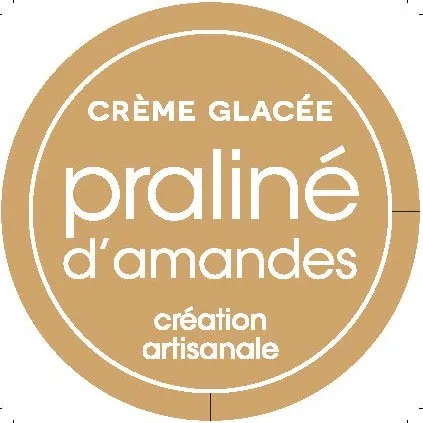 Boule Glace Praliné Amandes